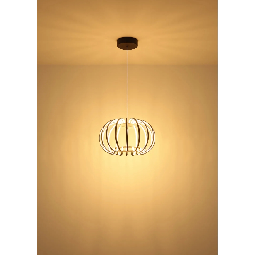 Globo - reguliuojamas LED pakabinamas šviestuvas ant laido LED/40W/230V 3000K juodas