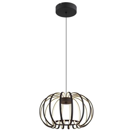 Globo - reguliuojamas LED pakabinamas šviestuvas ant laido LED/40W/230V 3000K juodas