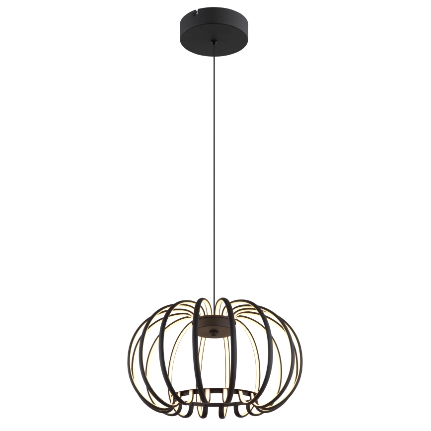 Globo - reguliuojamas LED pakabinamas šviestuvas ant laido LED/40W/230V 3000K juodas