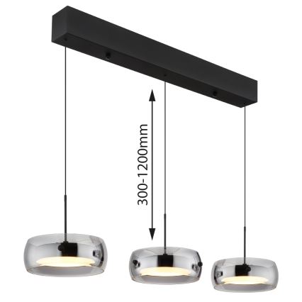 Globo - LED pakabinamas šviestuvas ant laido LED/30W/230V 3000K
