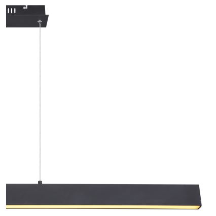 Globo - reguliuojama LED liustra ant laido LED/40W/230V 3000K
