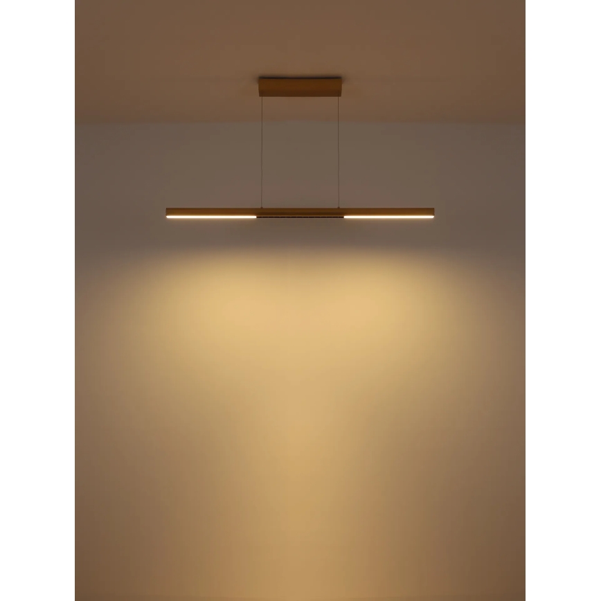 Globo - LED liustra ant laido LED/24W/230V 3000K