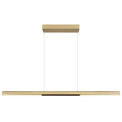 Globo - LED liustra ant laido LED/24W/230V 3000K