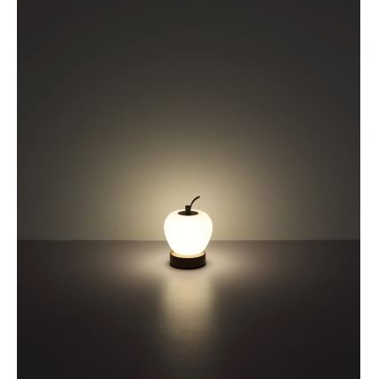 Globo - LED pritemdomas, liečiamas stalinis šviestuvas LED/2W/3,7V 2700K/4000K/6500K 1200 mAh USB ruda