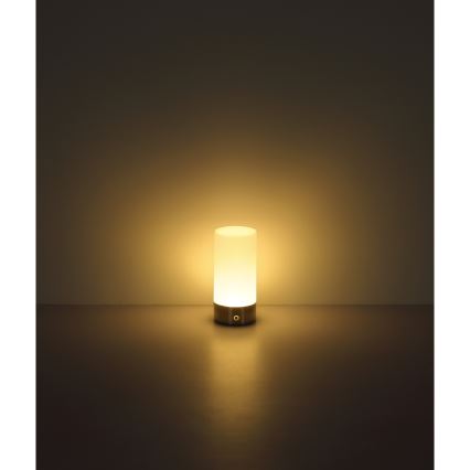 Globo - LED RGBW Pritemdomas jutiklinė lauko Stalinis šviestuvas LED/1,8W/5V 1500 mAh IP44 matinis chromas