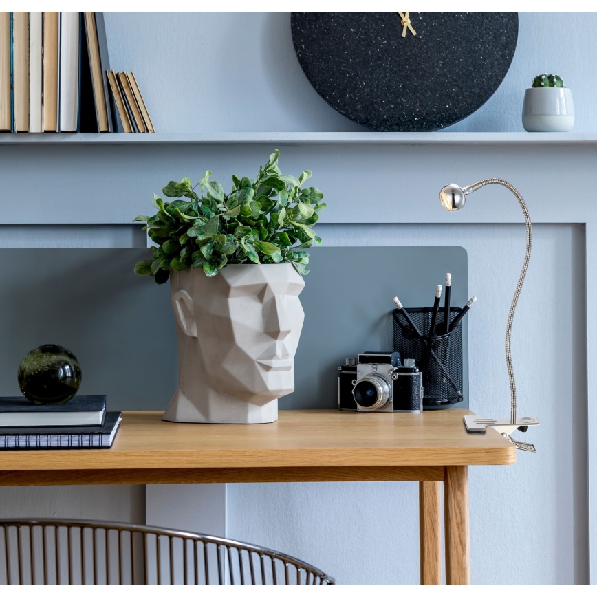 Globo - LED lanksti lempa su spaustuku LED/3W/230V matinis chromas