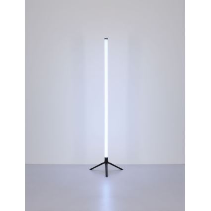Globo - LED RGB Reguliuojamas toršeras LED/7W/5V + nuotolinio valdymo pultas