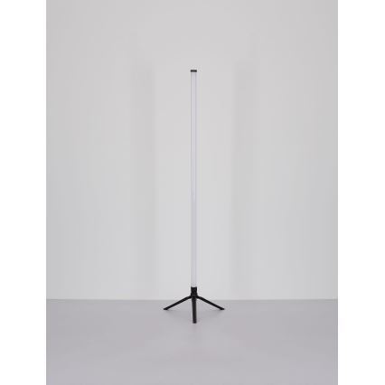 Globo - LED RGB Reguliuojamas toršeras LED/7W/5V + nuotolinio valdymo pultas