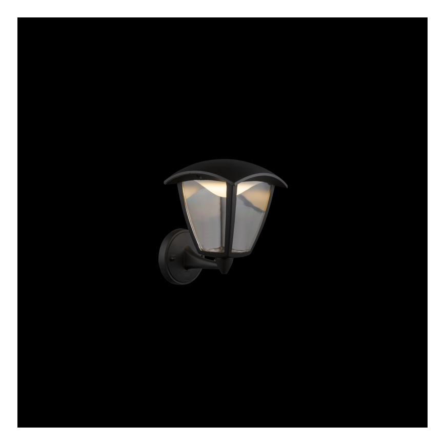 Globo - LED sieninis lauko šviestuvas LED/7W/230V IP54