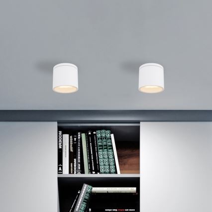 Globo - Lauko lubinis šviestuvas 1xGX53/11W/230V IP44