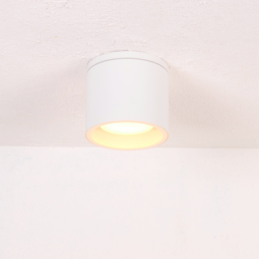 Globo - Lauko lubinis šviestuvas 1xGX53/11W/230V IP44