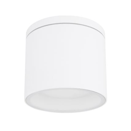 Globo - Lauko lubinis šviestuvas 1xGX53/11W/230V IP44