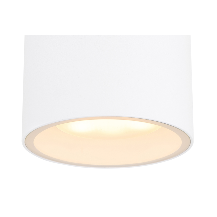 Globo - Lauko lubinis šviestuvas 1xGX53/11W/230V IP44
