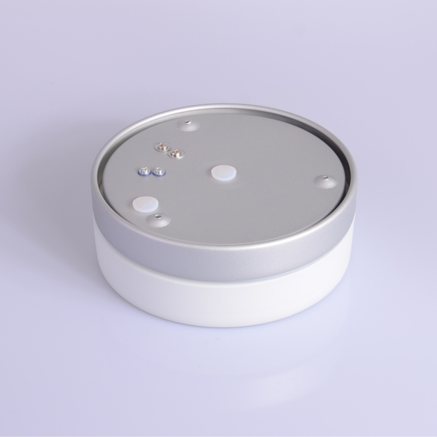 Globo - Vonios šviestuvas 1xE27/60W/230V diametras 18,4 cm IP44