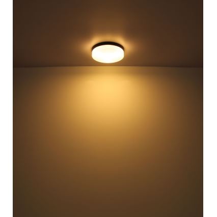 Globo - Vonios šviestuvas 1xE27/60W/230V diametras 18,4 cm IP44