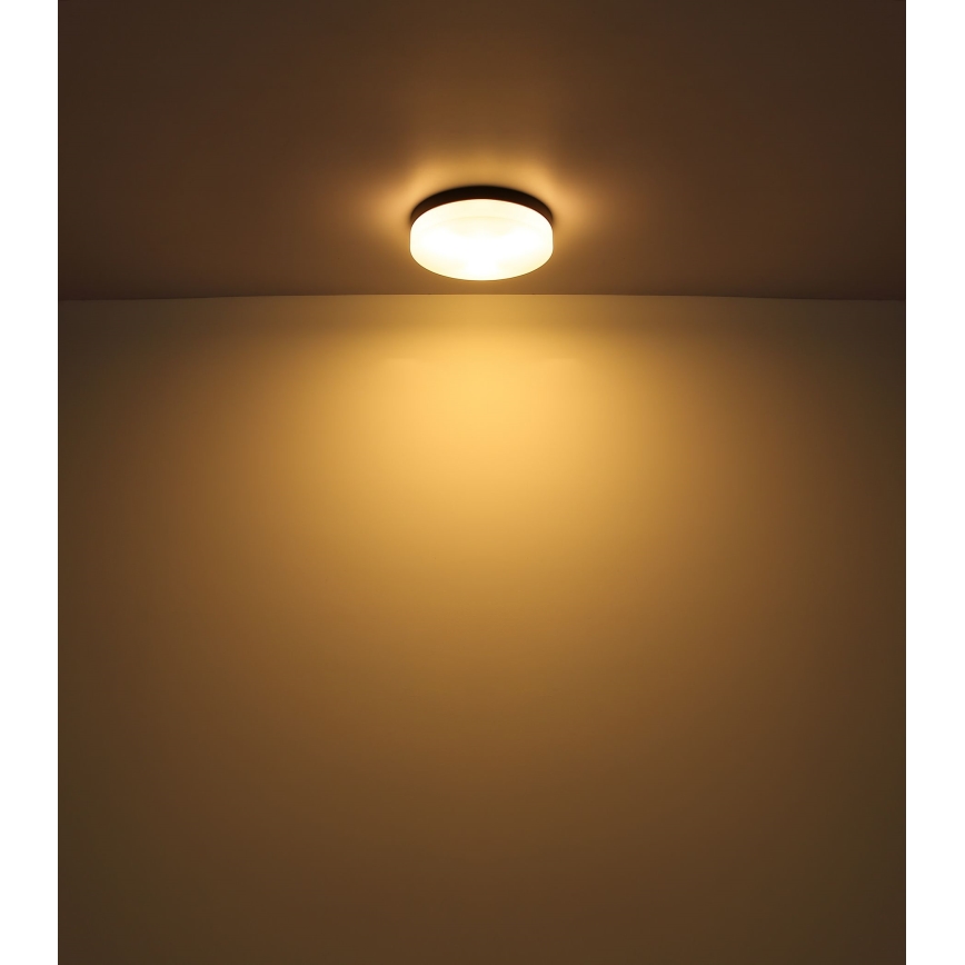 Globo - Vonios šviestuvas 1xE27/60W/230V diametras 18,4 cm IP44