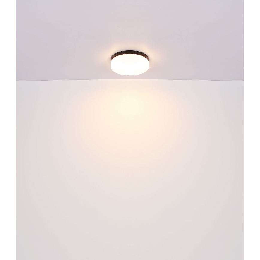Globo - Vonios šviestuvas 2xE27/60W/230V diametras 24 cm IP44