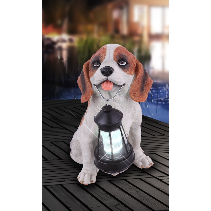 Globo - LED apšvietimas, įkraunamas saulės energija LED/0,06W/3V IP44 600 mAh