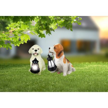 Globo - LED saulės šviestuvas LED/0,06W/3V IP44 600 mAh