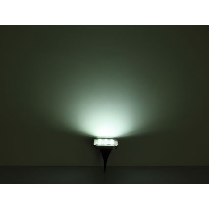 Globo - KOMPLEKTAS 2x LED apšvietimas, įkraunamas saulės energija LED/0,8W/1,2V IP44 300 mAh