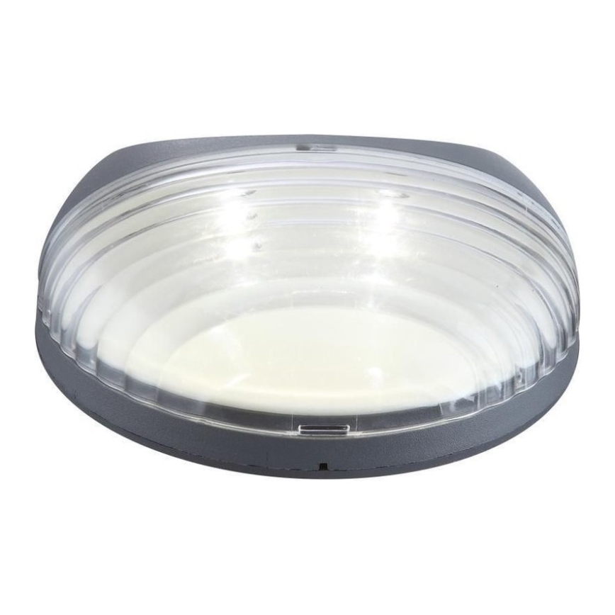 Globo - LED sieninis šviestuvas, įkraunamas saulės energija 2xLED/0,06W/1,2V IP44 200 mAh