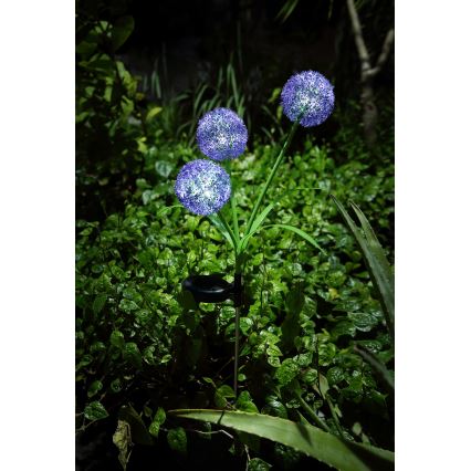 Globo - LED apšvietimas, įkraunamas saulės energija 3xLED/0,06W/3V 5000K IP44 violetinė