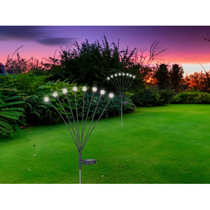 Globo - LED apšvietimas, įkraunamas saulės energija 8xLED/0,06W/3,2V 3000K IP44