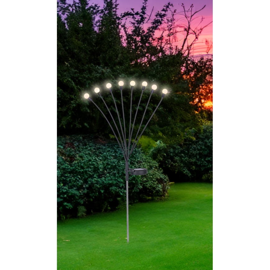 Globo - LED apšvietimas, įkraunamas saulės energija 8xLED/0,06W/3,2V 3000K IP44