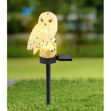 Globo - LED Saulės energijos šviestuvas LED/0,06W/3V IP44 pelėda