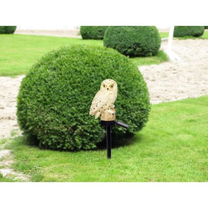 Globo - LED Saulės energijos šviestuvas LED/0,06W/3V IP44 pelėda