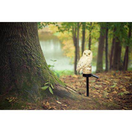 Globo - LED Saulės energijos šviestuvas LED/0,06W/3V IP44 pelėda