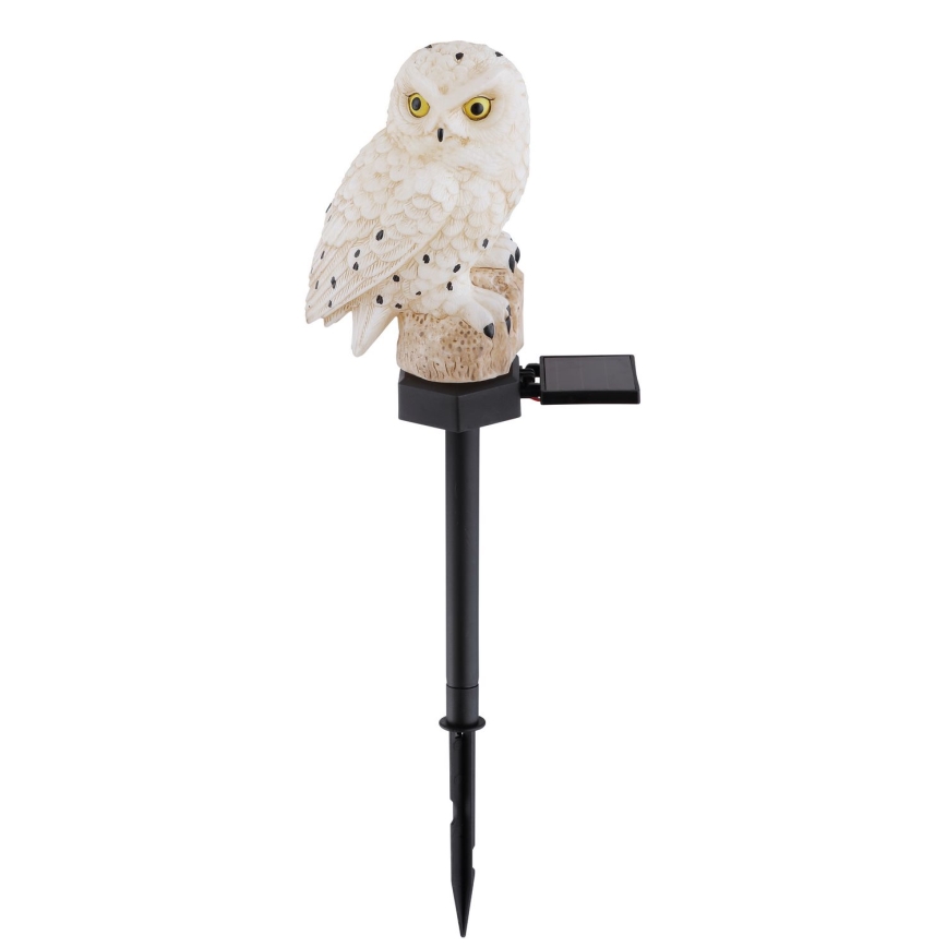 Globo - LED Saulės energijos šviestuvas LED/0,06W/3V IP44 pelėda