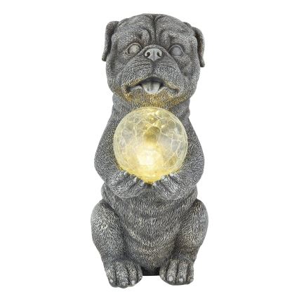 Globo - LED Saulės dekoracija LED/0,02W/3V IP44 Šuo