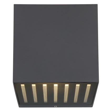 Globo - LED lauko sieninis šviestuvas LED/6W/230V IP54 antracitas