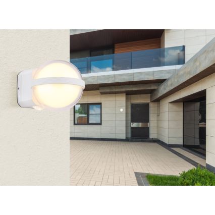 Globo - LED sieninis lauko šviestuvas LED/12W/230V IP54 balta