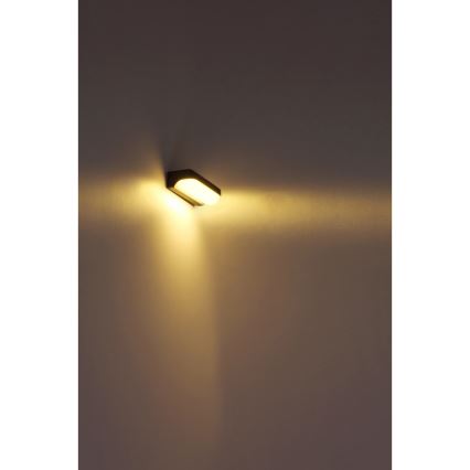 Globo - LED Lauko sieninis šviestuvas LED/10W/230V IP54