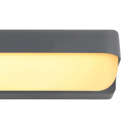 Globo - LED Lauko sieninis šviestuvas LED/10W/230V IP54