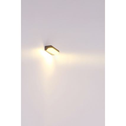 Globo - LED Lauko sieninis šviestuvas LED/20W/230V IP54