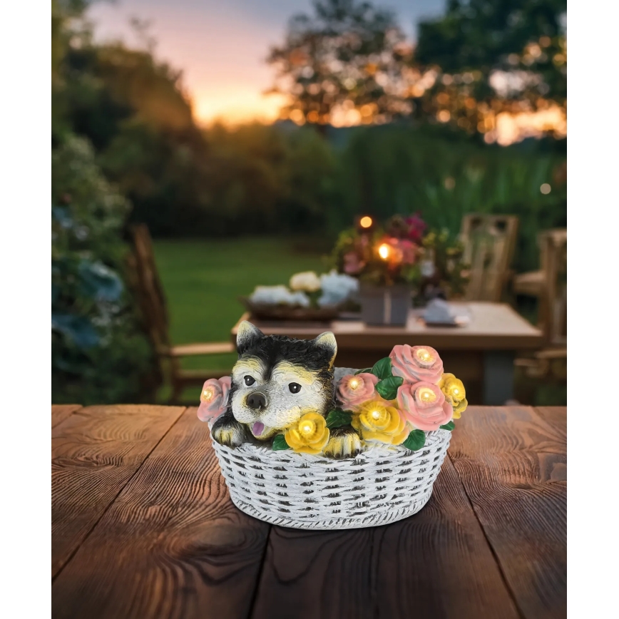 Globo - LED saulės šviestuvas LED/1,2V IP44 300 mAh šuo