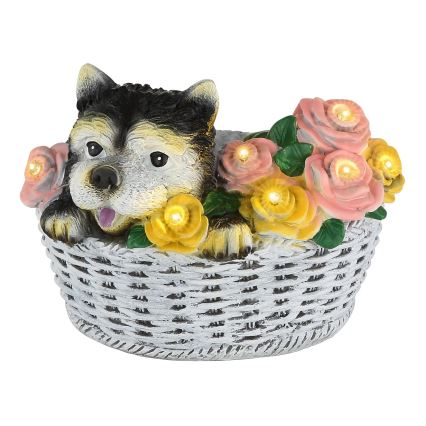 Globo - LED saulės šviestuvas LED/1,2V IP44 300 mAh šuo