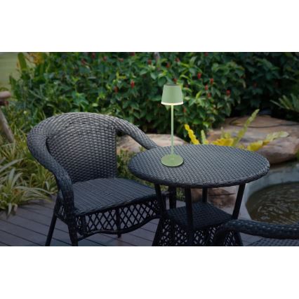 Globo - LED apšvietimas, įkraunamas saulės energija LED/0,06W/3V 3000K IP44 žalia