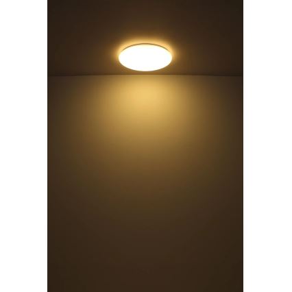 Globo - LED lubinis šviestuvas LED/24W/230V diametras 49,5 cm balta
