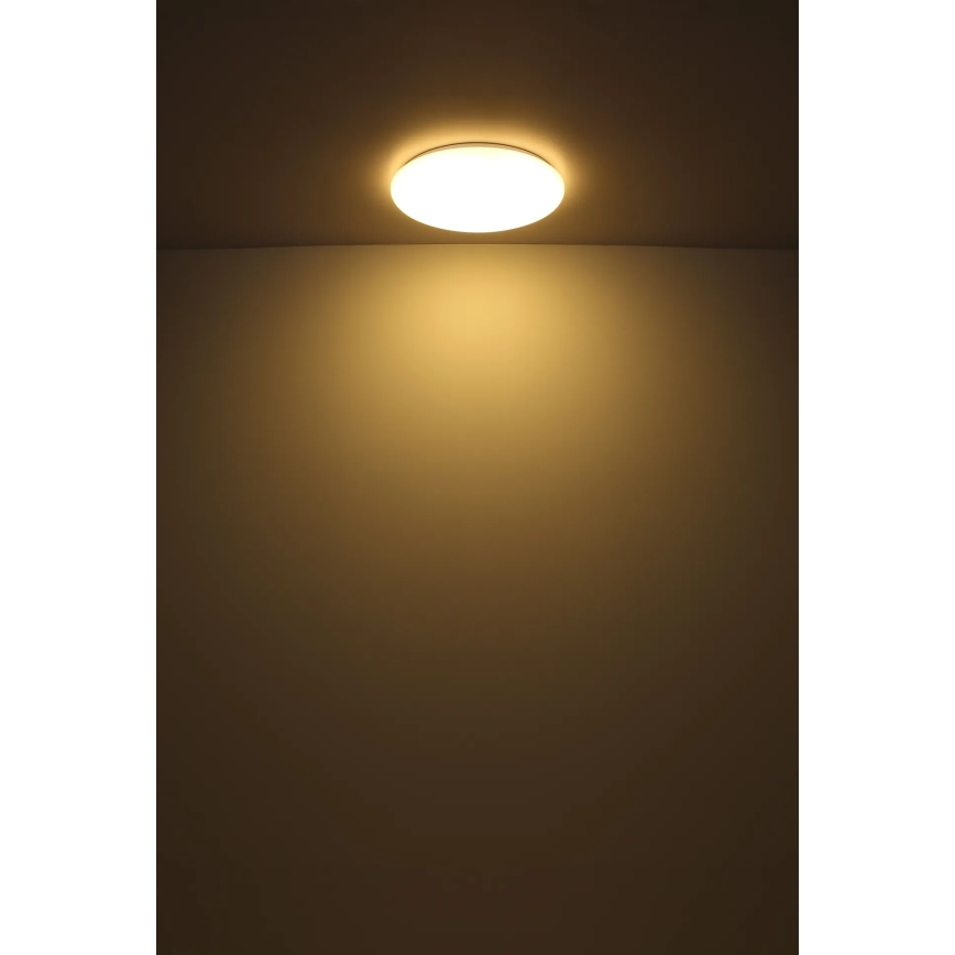 Globo - LED lubinis šviestuvas LED/24W/230V diametras 49,5 cm balta