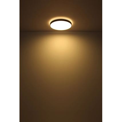 Globo - LED lubinis šviestuvas LED/24W/230V diametras 48 cm antracitas