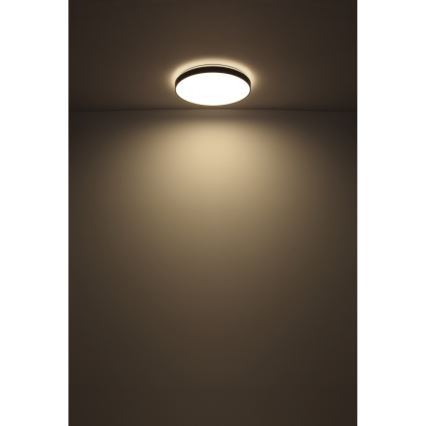 Globo - LED lubinis šviestuvas LED/24W/230V