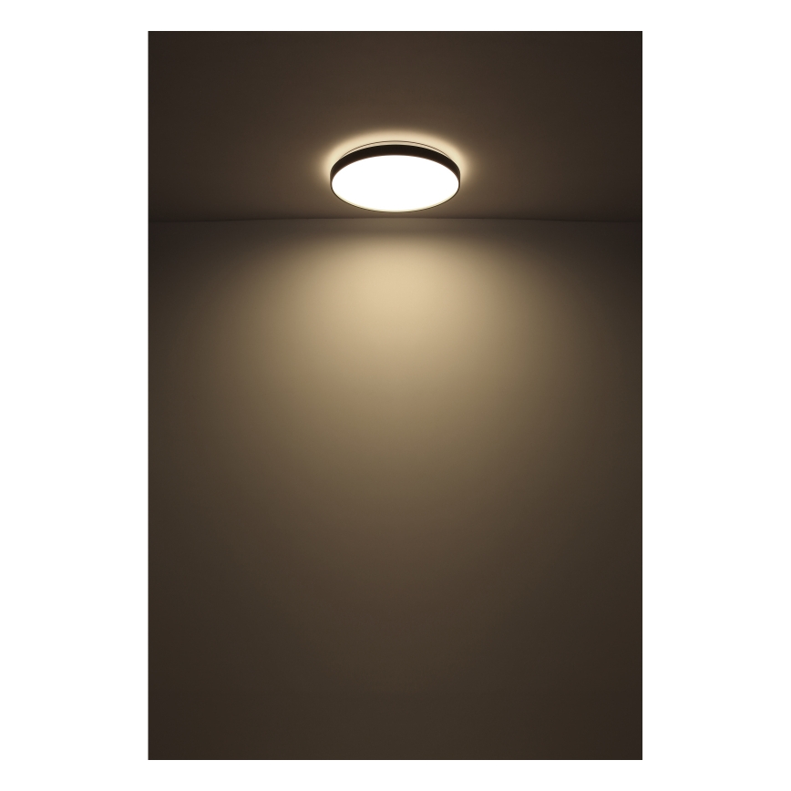 Globo - LED lubinis šviestuvas LED/24W/230V
