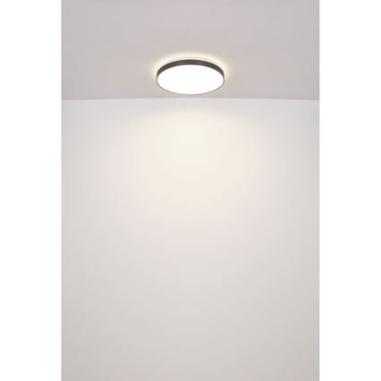 Globo - LED lubinis šviestuvas LED/24W/230V