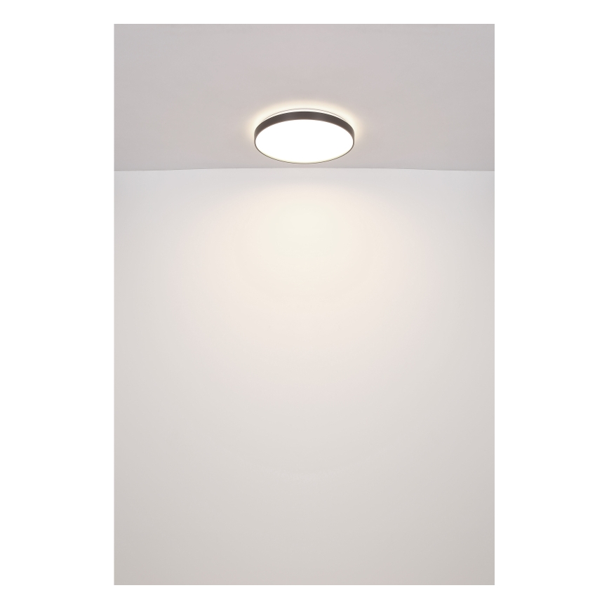 Globo - LED lubinis šviestuvas LED/24W/230V