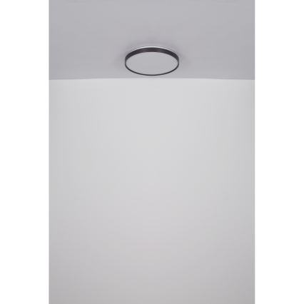Globo - LED lubinis šviestuvas LED/24W/230V
