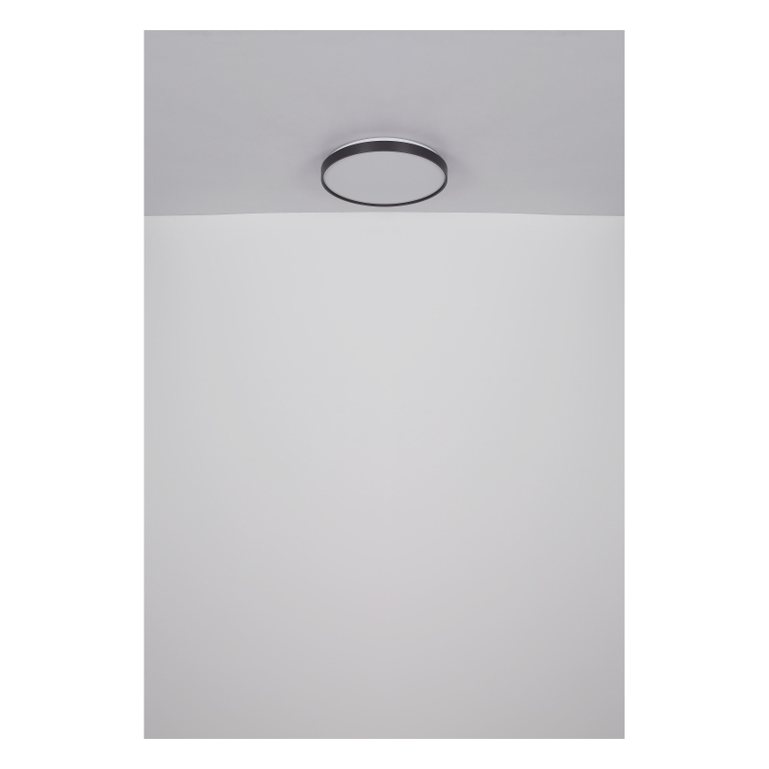 Globo - LED lubinis šviestuvas LED/24W/230V